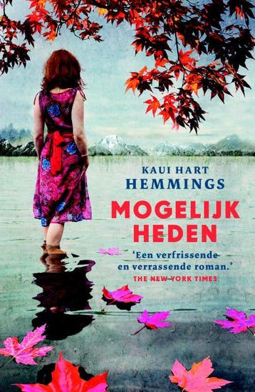 Mogelijkheden - Kaui Hart Hemmings 9789000334575, Verzenden, Gelezen, Kaui Hart Hemmings