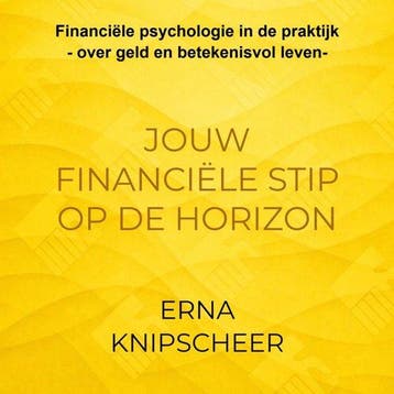 9789465467801 Jouw financiele stip op de horizon, Verzenden, Nieuw, Erna Knipscheer