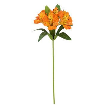 Alstroemeria Oranje Zijdenbloem 47 cm per stuk, Ophalen of Verzenden, Nieuw