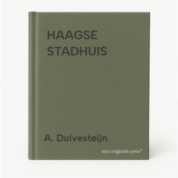 HAAGSE STADHUIS - A. Duivesteijn 9789061684206, Verzenden, Zo goed als nieuw, A. Duivesteijn