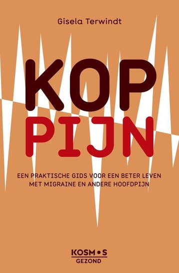 9789043932318 Koppijn | Tweedehands, Verzenden, Zo goed als nieuw, Gisela Terwindt