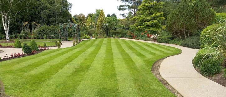 Premium Graszoden, Tuin en Terras, Planten | Tuinplanten
