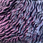 Maria Ruisi - VIOLET TIDE