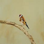 Matthieu van Riel - Putter