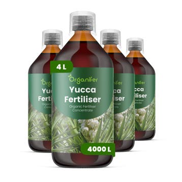 Vloeibare meststof voor Yucca - Set 4x1 liter, Verzenden, Mest