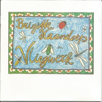 Brigitte Kaandorp - En Vliegwerk, Ophalen of Verzenden, Gebruikt