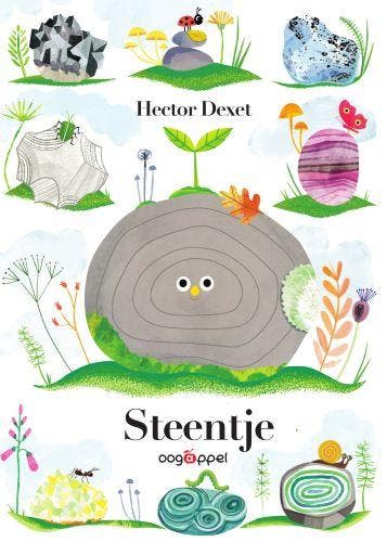 Steentje | Hector Dexet | Nieuw, Ophalen of Verzenden, Nieuw, Hector Dexet