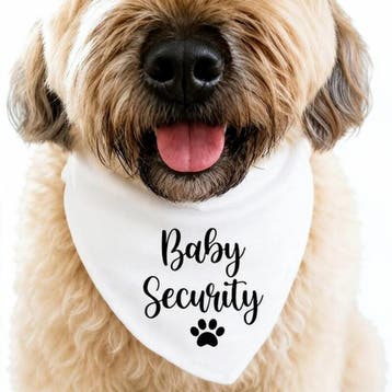Honden bandana Baby Security wit, Ophalen of Verzenden, Nieuw, Feestartikel, Geboorte of Huwelijk