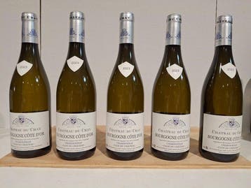 2023 Château du Cray Clos du Château - Bourgogne Côte dOr, Nieuw