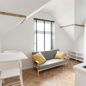 Studio gevonden in of bij Schiedam, 20 tot 35 m²