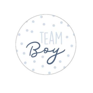 10x Sticker Team Boy (Stickers), Ophalen of Verzenden, Nieuw, Meerdere stickers