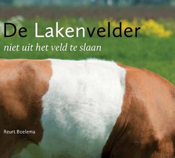 De lakenvelder 9789087401658 Reurt Boelema, Verzenden, Gelezen, Reurt Boelema
