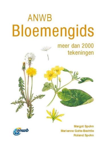 9789043928793 ANWB natuurgidsen - Bloemengids, Boeken, Verzenden, Nieuw, Margot Spohn