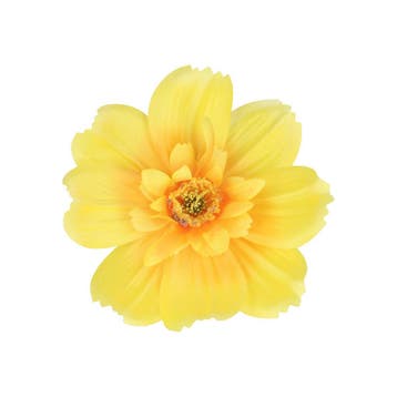 Haarspeld Duckklem 12cm – Haarbloem - Geel, Nieuw