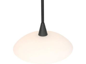 Steinhauer Tallerken 2654ZW - Hanglamp - Hoogte Verstelbaar, Huis en Inrichting, Verzenden, Nieuw