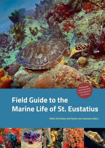 9789402172461 Field Guide to the Marine Life of St. Eusta..., Verzenden, Nieuw, Niels Schrieken