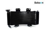 Radiateur KTM 125 RC 2022-> (125RC / 125 RC GP) (JY601282), Motoren, Verzenden, Gebruikt