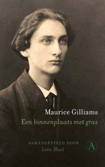 Een binnenplaats met gras - Maurice Gilliams 9789025367718, Boeken, Literatuur, Verzenden, Gelezen, Maurice Gilliams