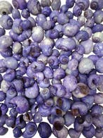Nattai schelpen Lila-Paars Washed 1 kilo, Ophalen of Verzenden, Nieuw