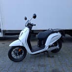 Elektrische scooter, Nipponia, E-Viball, Nieuw