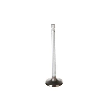 Exhaust valve 4.7 V8 Magnum 99/13, Ophalen of Verzenden, Nieuw
