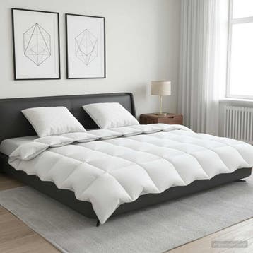 vidaXL 90% ganzen dons dekbedset FULDA 3 st 220 x 260 cm, Verzenden, Nieuw, Wit