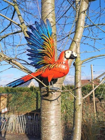Papegaai - Beeldje - Parrot - Metaal, IJzer