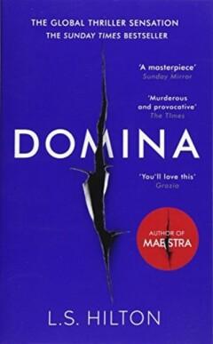 Domina - LS Hilton 9781785763014, Verzenden, Gelezen, LS Hilton