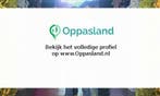 Martine zoekt een oppas in Beekbergen voor 1 kind voor 7..., Vacatures