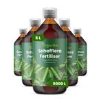 vloeibare Schefflera meststof - Set 5x1 liter, Verzenden, Mest