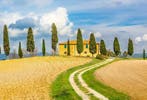 Het mooiste huisje van de Toscana zetten wij te huur!, Vakantie, Vakantiehuizen | Italië, Eigenaar, Huisdier toegestaan, Toscane