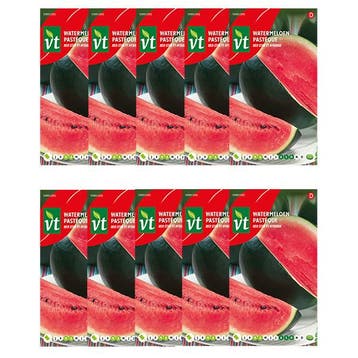 Watermeloen zaad | VT | 10 stuks, Verzenden