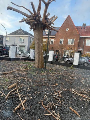 Te huur: Huis Westeinde in Waalwijk, Noord-Brabant, Waalwijk