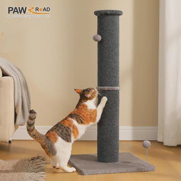 Hoge Krabpaal voor Katten - Extra Dikke Stam, Stabiele Basis, Verzenden, Nieuw