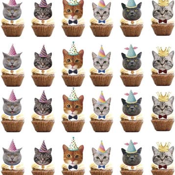 24 poezen cupcake topper Cute Cats, Verzenden, Nieuw