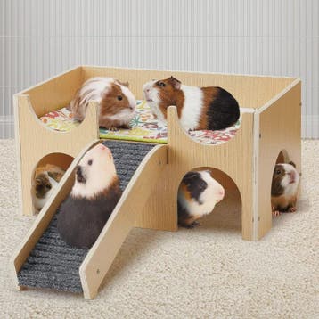 Stevig Houten Speelhuis voor Cavia's - Meerdere Niveaus met, Verzenden, Nieuw