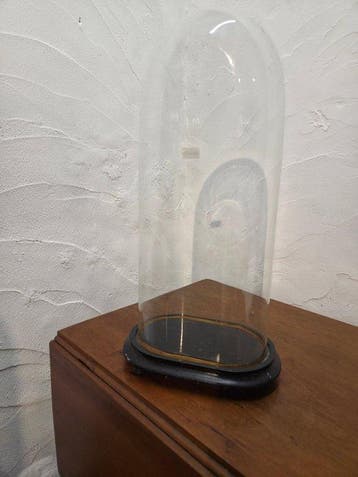 Globe - !!! - ANTIEKE GLAZEN OVALE STOLP - 1901-1920 - MOOIE