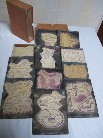 Anatomisch model (12) - Rubber en metaal - 1950-1960 -