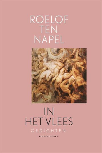 In het vlees 9789048853571 Roelof ten Napel, Verzenden, Zo goed als nieuw, Roelof ten Napel