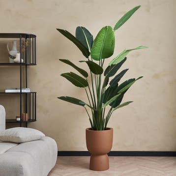 Kunstplant Strelitzia XXL - Ø 150 x 180 cm, Huis en Inrichting, Verzenden, Nieuw