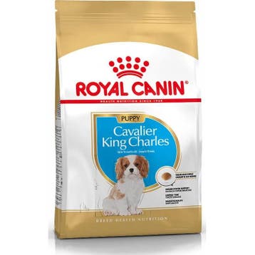 Royal Canin Cavalier King Charles Spaniël Junior 1,5 kg, Verzenden, Hond