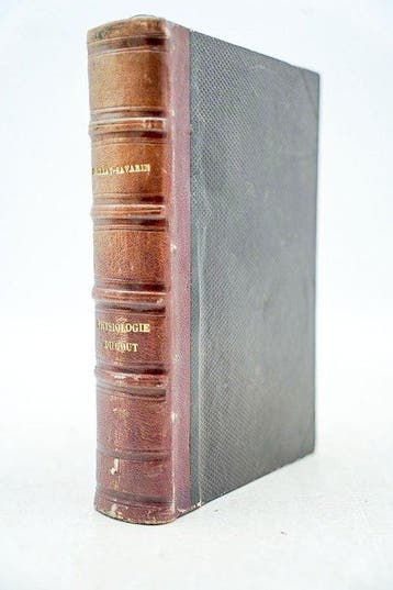 Richerand Anthelme Brillat-Savarin - Physiologie du goût, ou, Antiek en Kunst