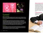 Het klokhuisboek over hersenen 9789048820245 Edda Heinsman, Boeken, Verzenden, Zo goed als nieuw, Edda Heinsman