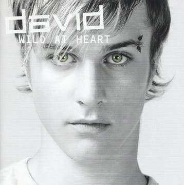 cd - David - Wild At Heart, Verzenden, Zo goed als nieuw