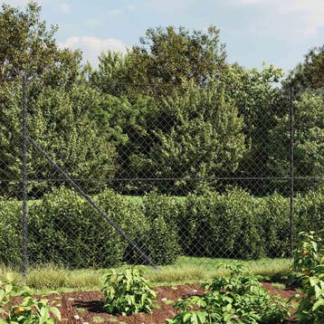 vidaXL Gaashek met grondankers 2x25 m antracietkleurig, Verzenden, Nieuw, IJzer, 2 meter of meer