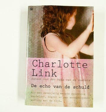 De echo van de schuld - Charlotte Link 9789044331660, Boeken, Verzenden, Gelezen, Charlotte Link
