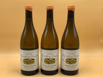 2024 Pascal Cotat  Les Monts Damnés Sancerre - Loire - 3, Nieuw
