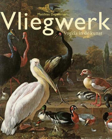 Vliegwerk - Matthias Depoorter 9789025300579, Verzenden, Zo goed als nieuw, Matthias Depoorter