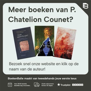 Brieven van Bernadette - P. Chatelion Counet 9789061730279, Verzenden, Zo goed als nieuw, P. Chatelion Counet