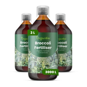 Vloeibare meststof voor broccoli - 3x1 liter, Verzenden, Mest